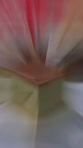 เซ็ท 3 แถม 1  เค้กไข่ไต้หวันรสชาเขียวหอมนุ่มละมุนลิ้น 1ห่อขนาด120 กรัม