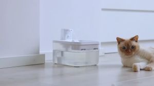 น้ำพุแมวไร้สาย ที่ให้น้ำแมว ที่ให้น้ำอัตโนมัติ เสียงเงียบ น้ำพุแมว ระบบกรอง4ชั้น ที่ให้น้ำอัตโนมัติ น้ำพุแมวอัตโนมัติไร้สาย อุปกรณ์ สัตว์เลี้ยง petkit 3L ABS แถม ตัวกรอง