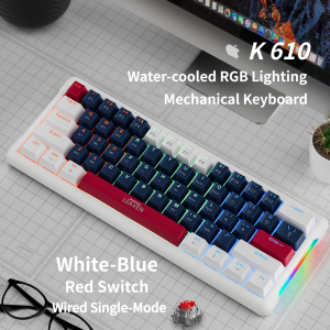 NexusClick 61 Keys Esports Gaming Mechanical KeyboardRed Switch Hot SwappableRGB Backlight Stylish Portable Keyboard for Gamer