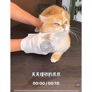 Pet Dry Cleaning/Bathing Disposable Wipes Glove (6PCS/PACK)