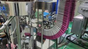 Nước tinh chất nấm linh chi lên men thanh xuân