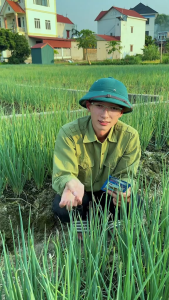 Loại bỏ các loại sâu sâu xanh sâu cuốn lá sâu đục thân đục quả đục lá sâu khoang sâu keo mùa thu sâu vẽ bùa sâu đất sâu tơ bọ nhảy trĩ nhện gié