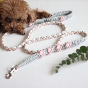Homemade Small and Medium-Sized Dogs Pet Dog Daisy Dog Leash Hand Holding Rope Handmade Compound Rope Braid Rope Woven Material Kit