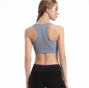 🇲🇾STOCK KL FELLO Front Zip Plus Size Women Anti-sagging FIX Pad Sponge Running Yoga Fitness Exercise Gym Fixed Chest Pad Sport Bra