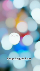 Anggrek Latex Premium/Daun Anggrek Bunga Hias Dekorasi (NK-200)