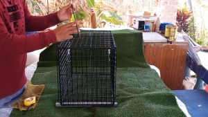 กระเป๋าดักสัตว์ ยาว 32 มม และ 50 มม สูง 36 มม ซึ่งช่วยให้กับเคลื่อนย้ายสัตว์นำไปรักษาและลดเวลาในการดูแล