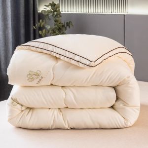 Thick Winter Quilt 10 Pounds Silk Cotton Quilt for Autumn And Winter Student Dormitory Single Bed Warm Quilt Polyester Fabric