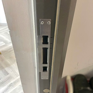 Khóa cửa vân tay Demax EL622 CG app wifi của Đức tuya smart app ttlock wifi cao cấp