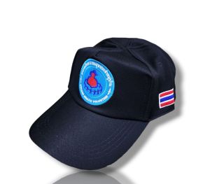 หมวกอสม. หมวกเจ้าหน้าที่อาสาสมัครสาธารณสุข ขนาดFREE SIZE ก้ามปูปรับหลัง