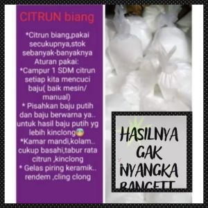 Biang Citrun Pembersih Serbaguna Serbuk Ajaib