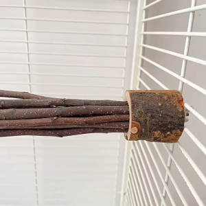 🇸🇬 Bird Perch Stand Natural Branch Scratcher for Parrots Beak and Claw Grinding Toy