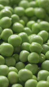 Green Peas/ Dried Green Peas/ Raw Green Peas (500g1kg) - Beans