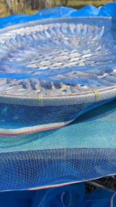 ปลาเนื้ออ่อนปลานางแดง(ชะโอนหรือปลาเชื่อม)ตากแห้งปรุงรสชาติแซ่ปๆ ตาก2แดดแห้งกำลังดี