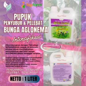 Pupuk Tanaman Hias Daun Bunga / Pupuk Khusus Tanaman Aglonema / Pupuk Khusus Aglonema / Pupuk Aglonema Untuk Daun Akar / Pupuk Aglonema Cepat Beranak