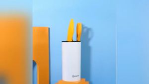 5 Piece Stainless Steel Kitchen Knife Set with Plastic Block for Home Cooking JC Elis