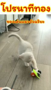 ของเล่นแมวอัจฉริยะ/Homequality.TH/แมวสนุก ทาสถูกใจ