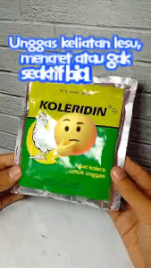KOLERIDIN 250 GRAM 1 DUS isi 20 Sachet - Obat Ayam Ampuh Untuk Berak Hijau Berak Putih Ngorok Kolera CRD & Koli Unggas