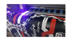 STICKER DECAL SANGKAR / KANDANG murai || STIKER naga dragon ebod jaya oriq BNR replika BEBAS CUSTOM