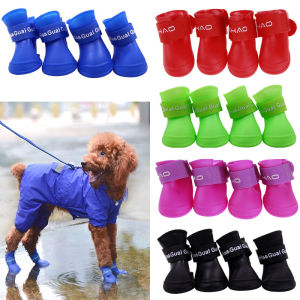 Waterproof Rainshoes for Dogs & Cats: A Comprehensive Guide