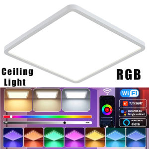 Ceiling Light LED Dimmable Flush Mount RGB Panel Smart Home WiFi with Remote Control for Living Room Bedroom Dinning Kitchen Hallway Bathroom Square 12Inch 24W White