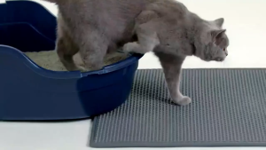 Lovinland Cat Litter Pad EVA Double Layer Waterproof Non-slip Sand Basin Filter Kitten Dog Washable Easy Cleaning Litter Box Filter Mat