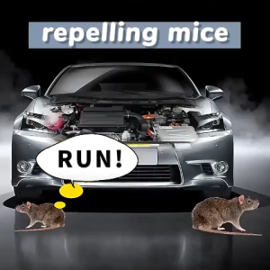 Rat repellent spray Car engine rat repellent spray Prevent line breakage Rat repellent 500ml