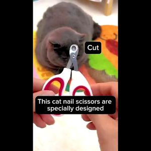 กรรไกรตัดเล็บแมว กรรไกรตัดเล็บสุนัขสแตนเลส กรรไกรตัดเล็บแมว กรรไกรตัดเล็บสัตว์ ป้องกันการตัดหลอดเลือดของแมว cw24