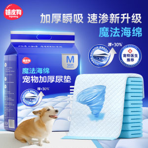 Thickened Dog Urinal Mat Disposable Absorbent Urine Pad Pet Toilet Training Paper 100 Sheets Activated Carbon Deodorizing
