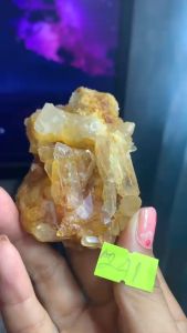 Bụi đá Thạch Anh màu vàng Citrine tinh thể tự nhiên thiên nhiên chiều tài lộc mã 241