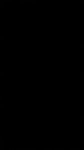 WILDOPWHELDOFDOP RING 14 ADIPUTRO NEW R14 L300 TRAGA PLASTIK TK ANTI PECAH