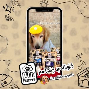 FOODY PETNERS - Carabeef Meat and/or Broth 130 grams (Cooked Wet DOG PUPPY Food)