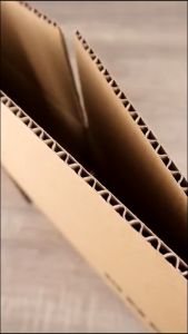 Packaging Box Craft Paper Carton Kotak Pizza Packing New Kertas Kraf Kourier Courier