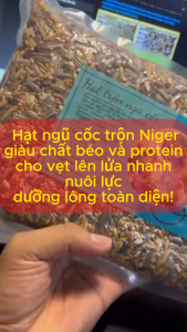 (1Kg) -TinyNest- Hạt Trộn Cho Vẹt Sun Cock GC Prl Ngực Hồng… Có NIGER Kích Cồ Sinh Sản Mạnh Mẽ Cường Tráng