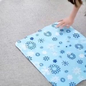 Pet Cool Mat - แผ่นเจลเย็น - สำหรับสุนัขและแมว - 30x40/40x50/50x60