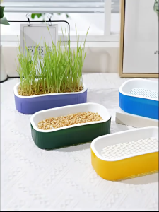 Benih Biji Rumput Gandum Makanan Kucing Kitten Cat Grass Wheat Grass Microgreen Seed Bibit Biji Gandum Rumput Kucing