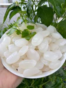 1kg HẠT ĐÁC Trung Nhỏ dùng nấu chè rim trái cay phù hợp cho quán trà sữa làm topping đồ uống