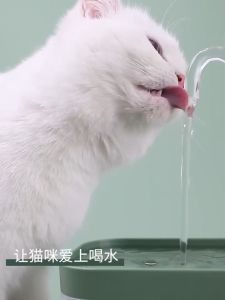 Automatic Pet Water Dispense CAT / DOG Drink Drinking Water Fountain Dispenser / Dispenser Air 猫咪饮水机 宠物自动饮水机 宠物饮水机