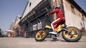 Electric Bicycle MIHOGO NX Electric Folding Bicycle