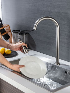 Stainless Steel Kitchen Faucet Pull-Out Spray Single Cold Water Sink Sinks Kitchen Sink Pull-Out Spray Home Use