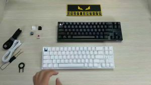 FREESHIP RK68 Plus Led Single - Bàn phím cơ RK871 Version 4 - Có 3 modes Bluetooth 5.1 - Wireless 2.4G - Cáp Type C