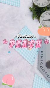 Pensil Cetek Mekanik Buah PEACH Cute Lucu isi 05 mm Harga TERMURAH / Pensil Mekanik Peach Motif Cantik IMUT Alat Tulis Perlengkapan Sekolah dan Kantor Special Edition Bisa Grosir dan COD