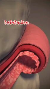 กิฟฟารีน โคซานอล มัลติ แพลนท์ โอเมก้า 3 ออยล์ ขนาด 30 แคปซูล โอเมก้า 3 จากพืช วิตามินอี วิตามินดี3 ไขมันในเลือดสูง หลอดเลือดหัวใจ