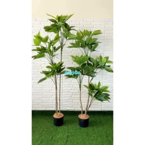 Pohon Hias Tanaman Artificial Daun Manggis T150 & T170 Latex Pot Dasar Hitam Dekorasi Cafe Hiasan Ruang Kantor