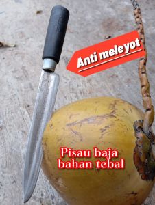Pisau Dagingpisau sembelih unggas  Bahan tebal