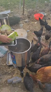 Multifunctional Electric Vegetable Cutter Farm Vegetable Cutter Mini Grass Crusher Machine Multi-Function Feeding Machine for Chicken Duck Goose Pig Farming