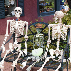 40CM Human Skeleton Model for Medical Learning and Halloween Decoration Artificial Anatomical Skeleton Prop⚡PH deliveryIn stock⚡