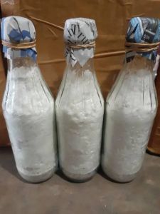 f2 bibit jamur tiram putih kmasan botol