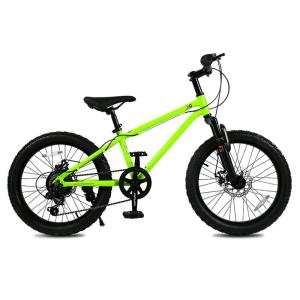 RoyalBaby | Teenage Student Gear Bicycle