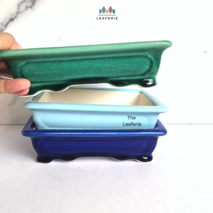 The Leaferie Bonsai (Series 67) Rectangle plant pots. flowerpot flowerpots flower pot planter