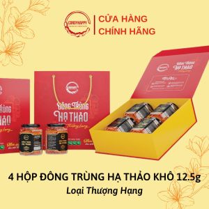 Set 4 Hộp Đông Trùng Hạ Thảo Khô Sấy Thăng Hoa CordyHappy 12.5g